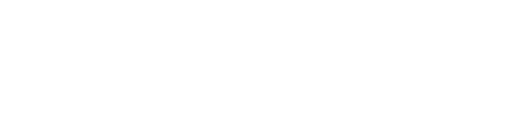 ES_Financiado_por_la_Unión_Europea_RGB_WHITE_Outline